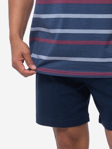 Ammann Short Pajamas 'Night & Home Cotton' in Blue