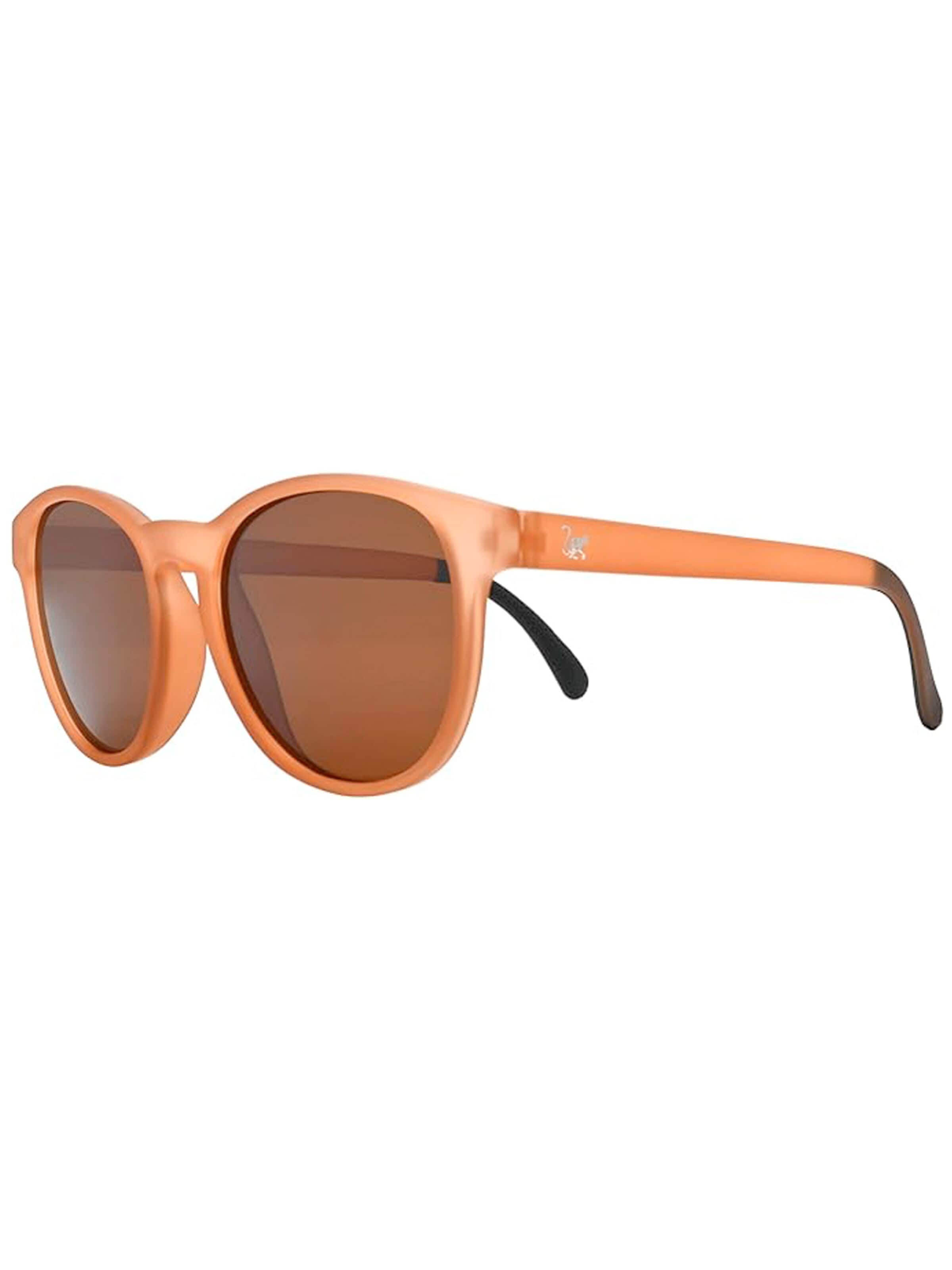 Surf Monkey Sunglasses in Brown: front