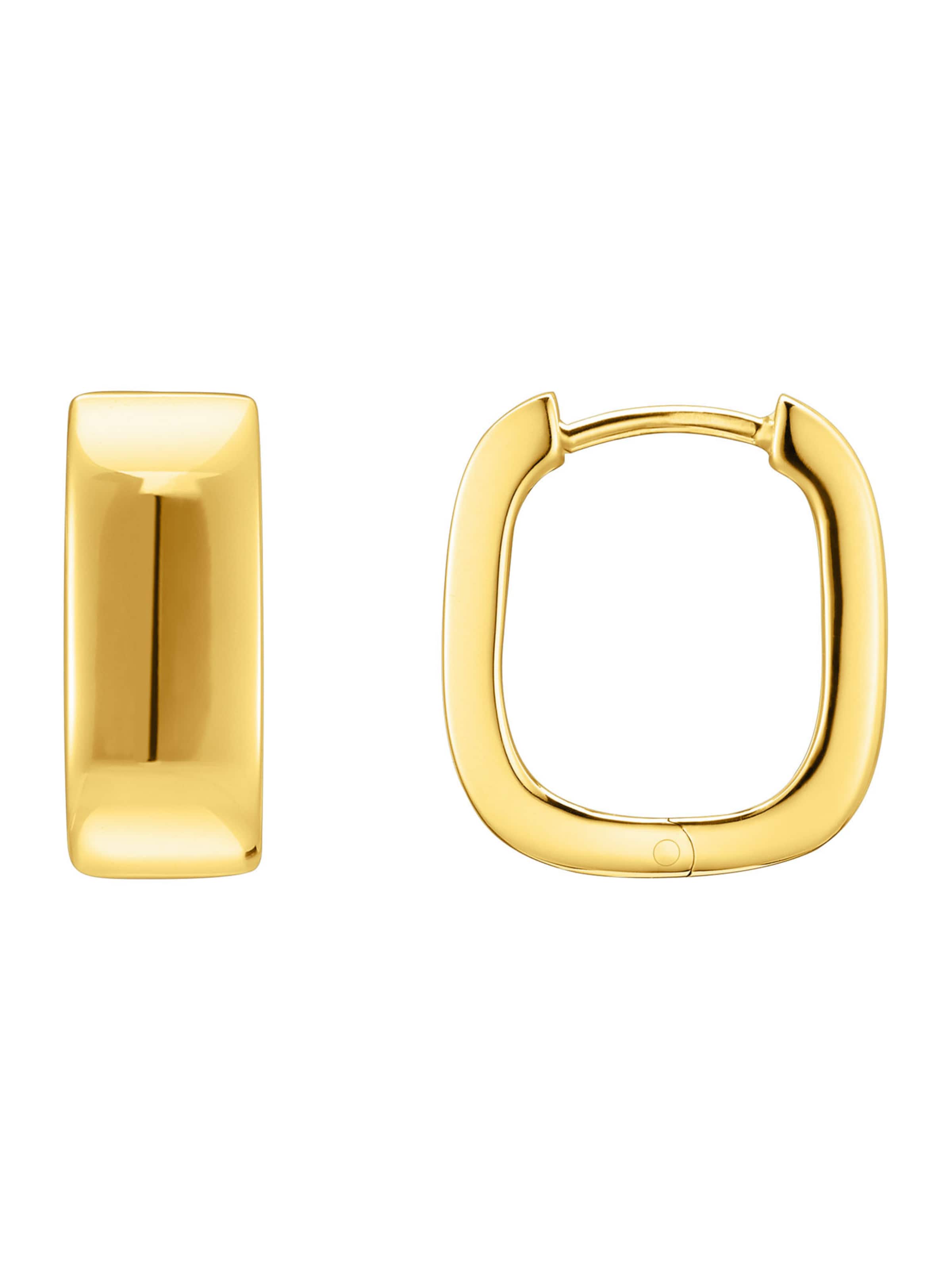 Thomas Sabo Earrings in Gold: front