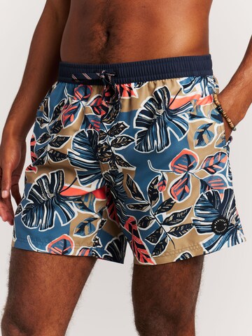 PROTEST Badeshorts 'PRTRayger'‌‌ in Braun