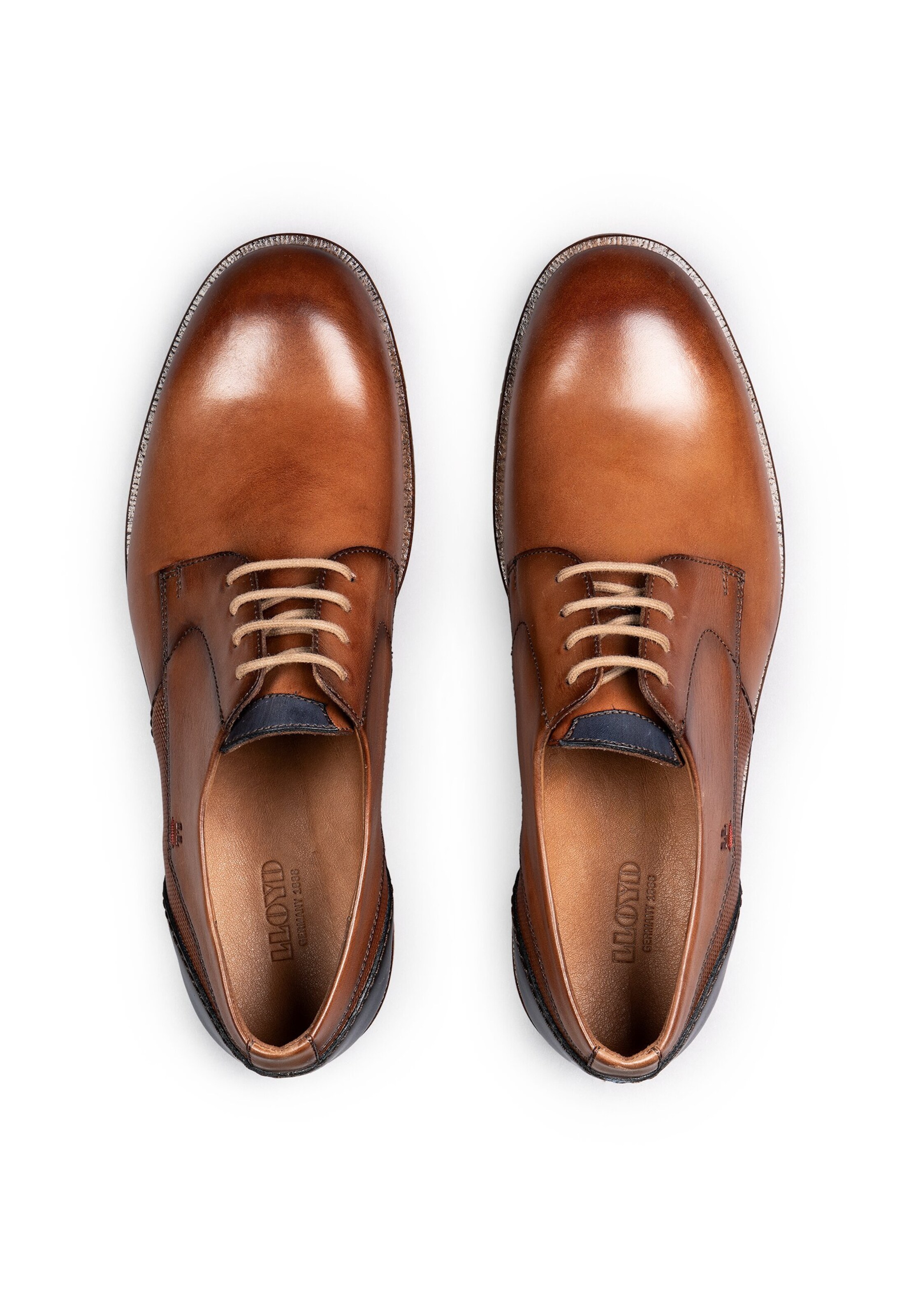 LLOYD Schnürschuh 'Domino' in Braun