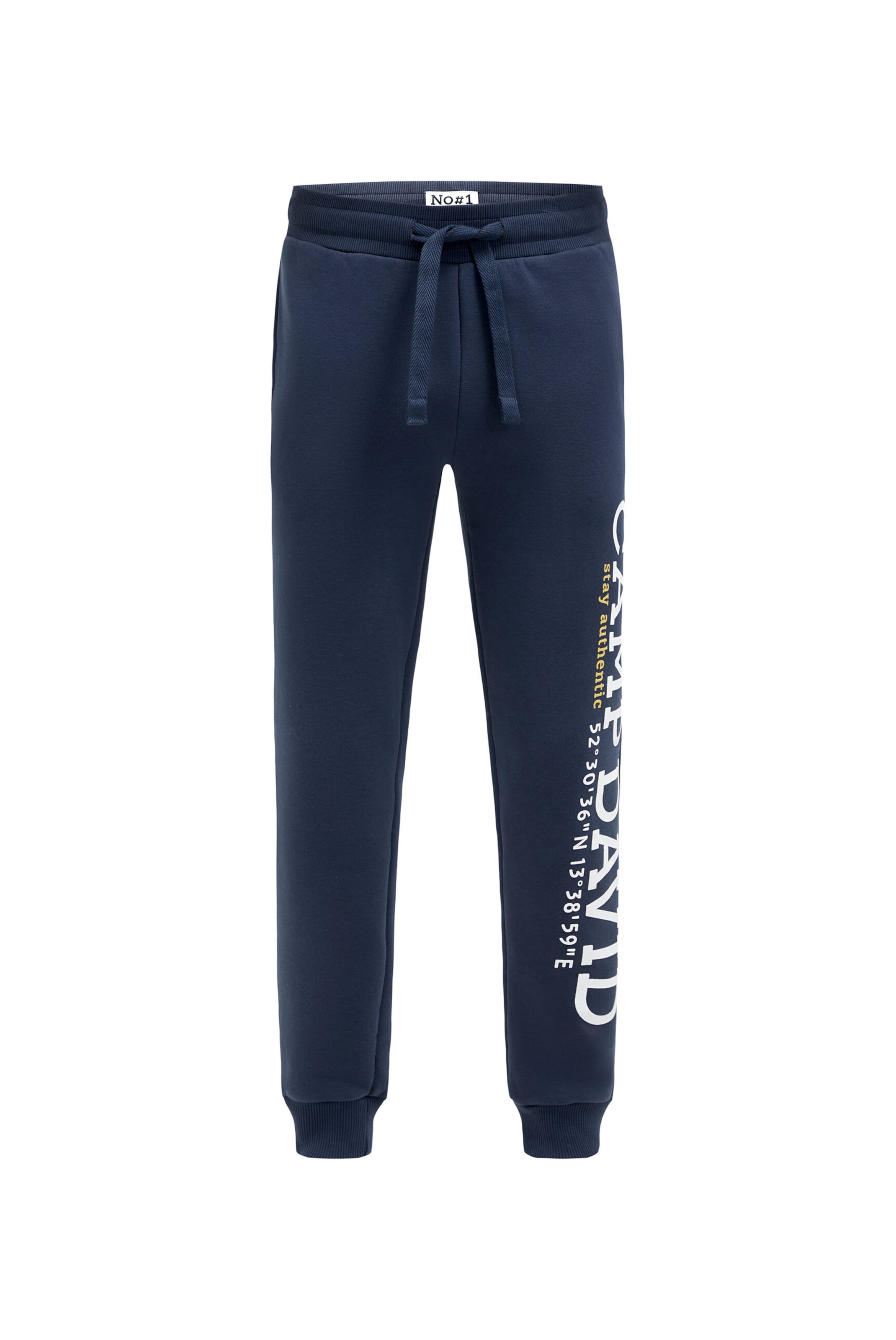 CAMP DAVID Regular Pants in Blue: front