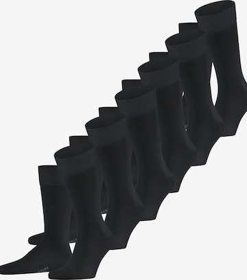 FALKE Socken 'Happy 6-Pack' in Schwarz: Vorderseite