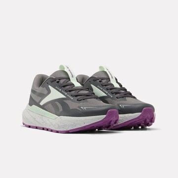 Reebok Sneaker in Grün