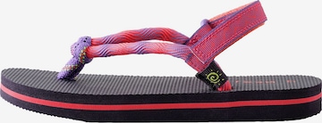 Next Zehentrenner in Lila: Vorderseite