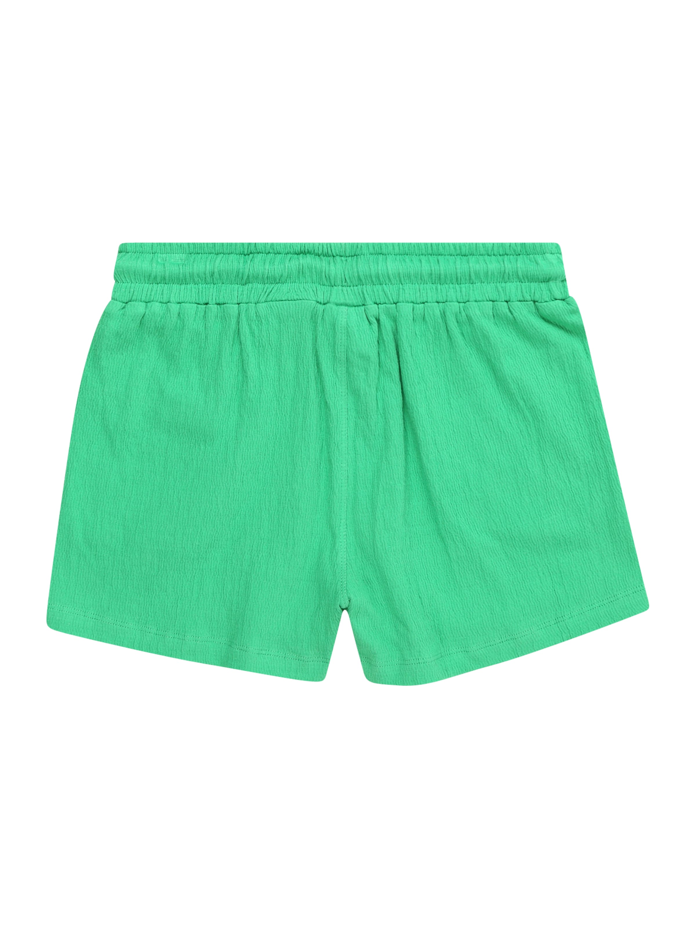 The New Regular Broek 'Jia' in Groen