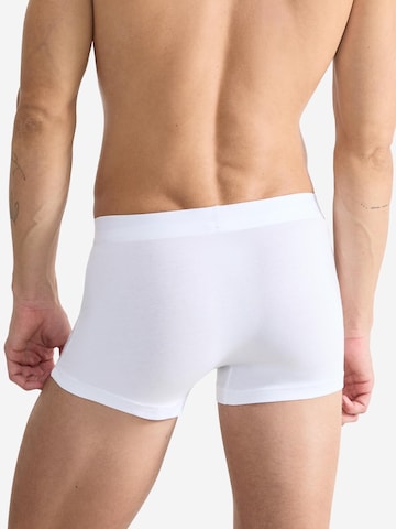 SLOGGI Boxershorts 'men EVER Ease' in Weiß