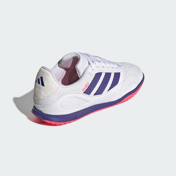 Scarpa sportiva 'Super Sala Competition III' di ADIDAS PERFORMANCE in bianco