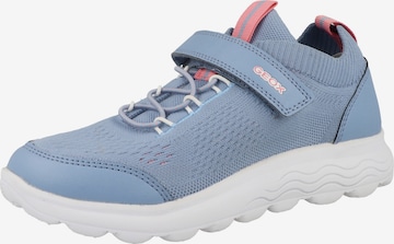 Baskets 'Spherica Gril' GEOX en bleu : devant