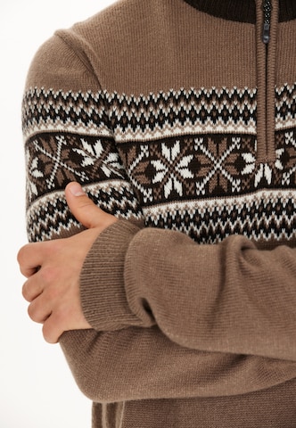 Whistler Athletic Sweater 'Don' in Brown