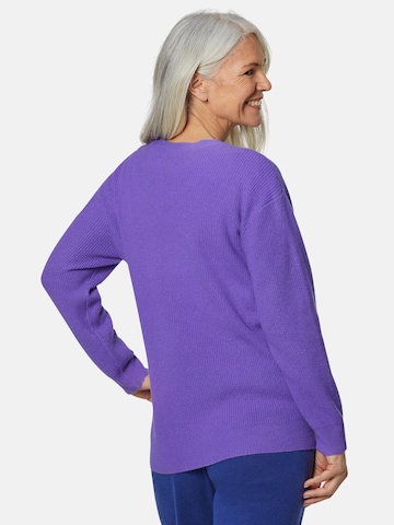 Goldner Sweater in Purple