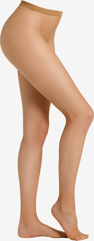 camano Tights 'Matt Look - 50 DEN' in Beige: front