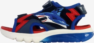 GEOX Open schoenen in Blauw: voorkant