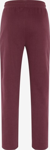 Oklahoma Jeans Regular Hose in Lila