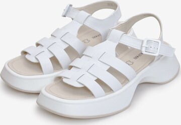 CESARE GASPARI Sandals in White