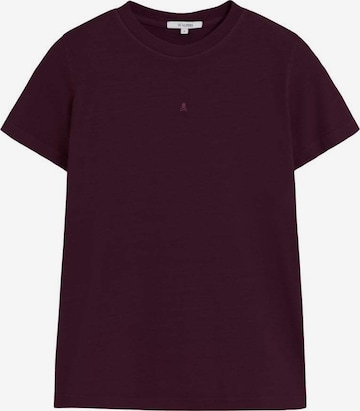 ScalpersMajica - ljubičasta boja: prednji dio