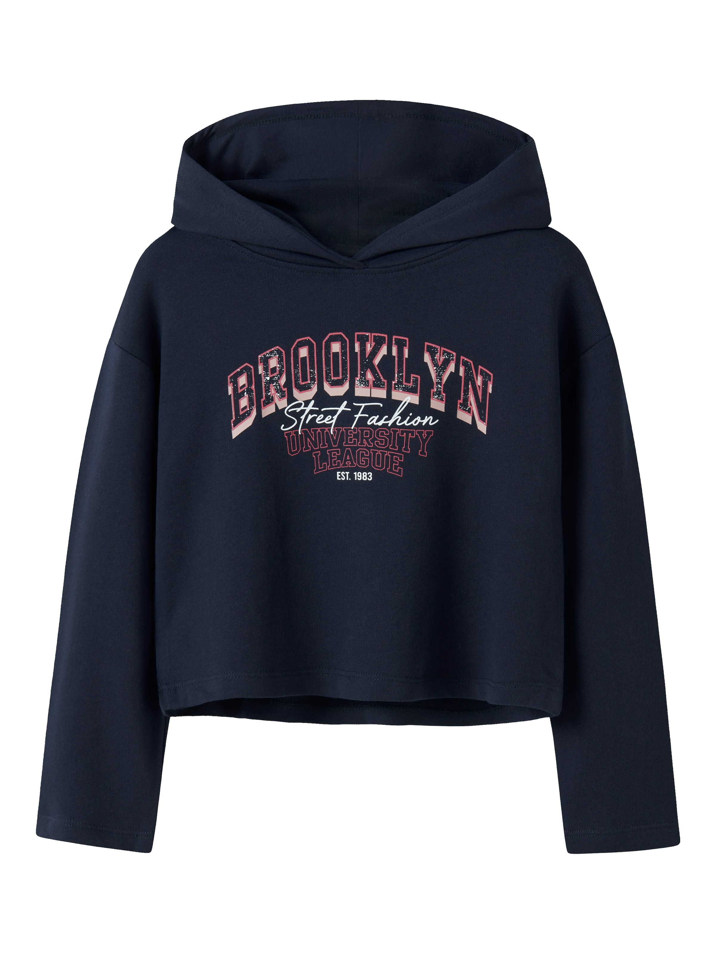 NAME IT Sweatshirt 'NKFVIALA' in Blue: front