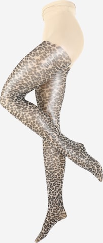 ONLY Carmakoma Fine Tights 'RAMMI' in Brown: front