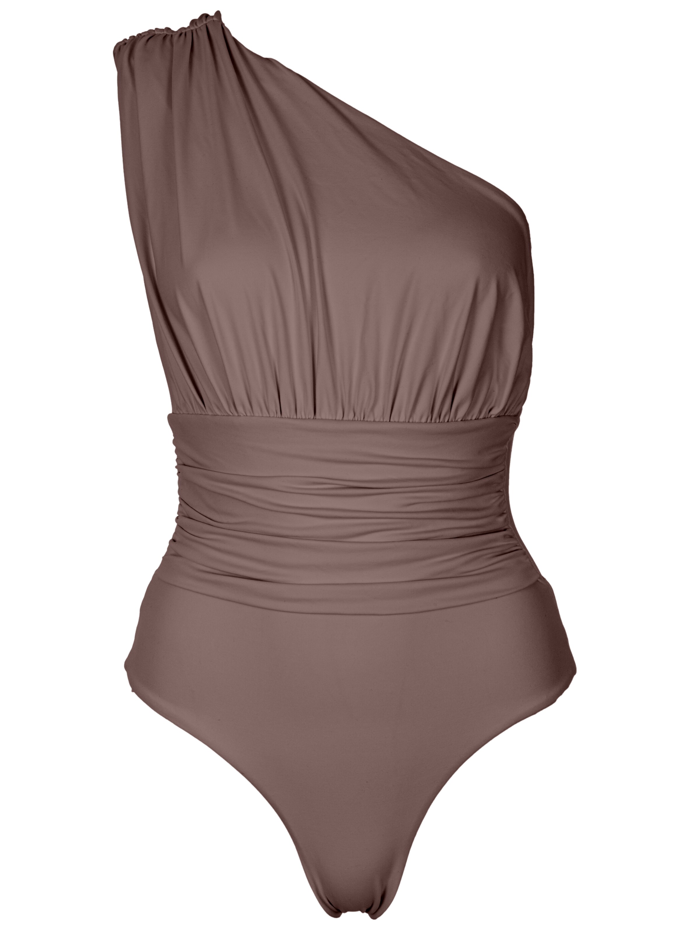 SEA ME SWIM Badeanzug 'MONACO'‌‌‌‌‌ in Braun: Vorderseite