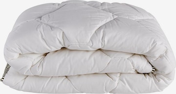 Bella Maison Bedding 'Bamboo' in White: front