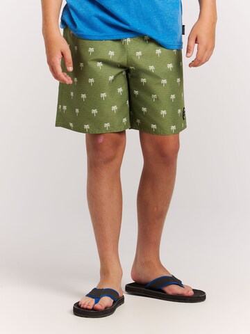 PROTEST Board Shorts 'PRTCalvin JR' in Green