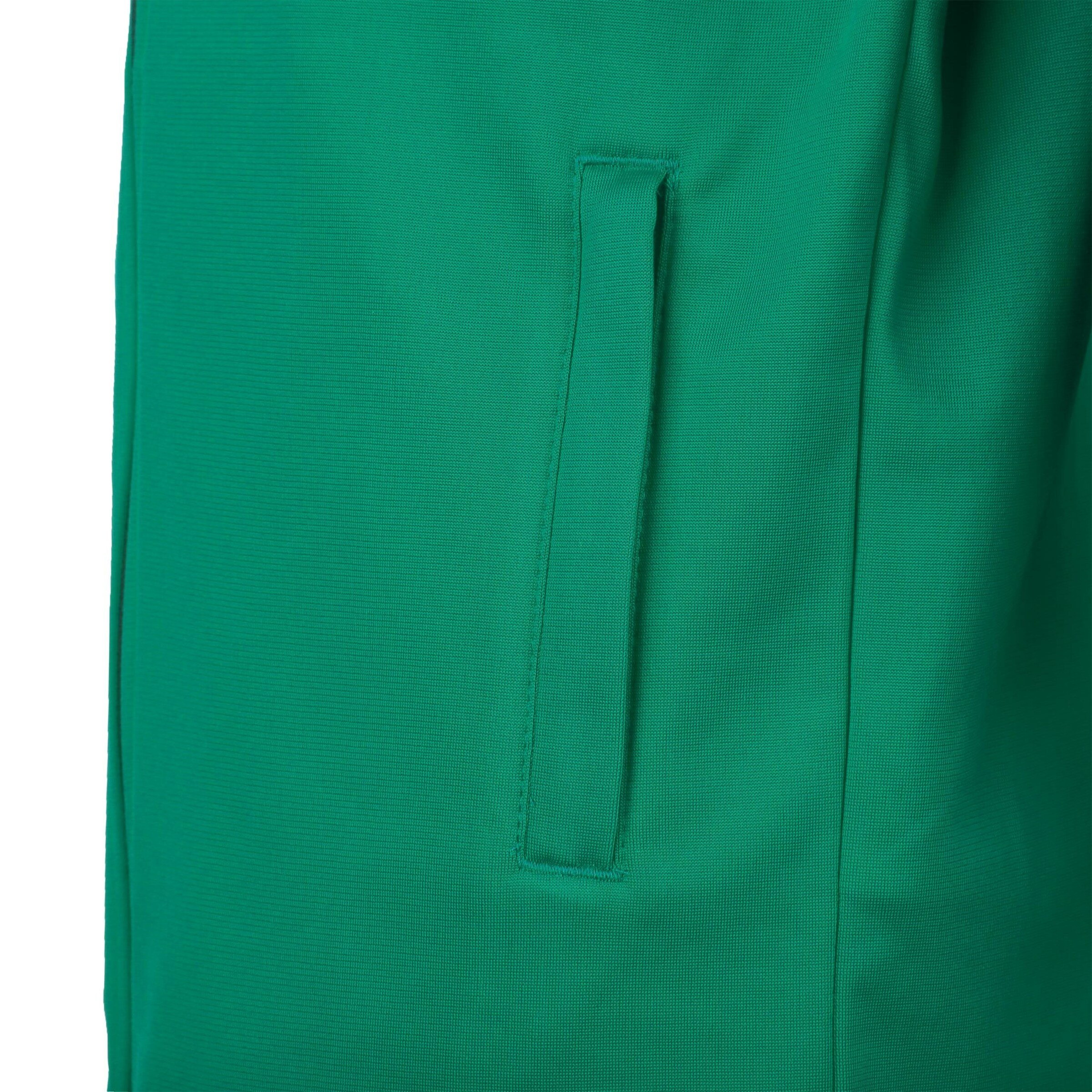 PUMA Athletic Jacket 'TeamLIGA' in Green