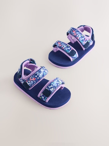 Next Sandalen in Blauw