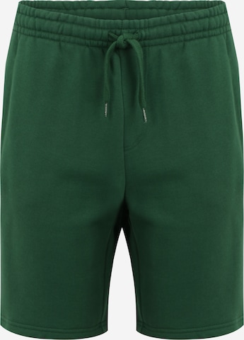 LACOSTE Broek in Groen: voorkant