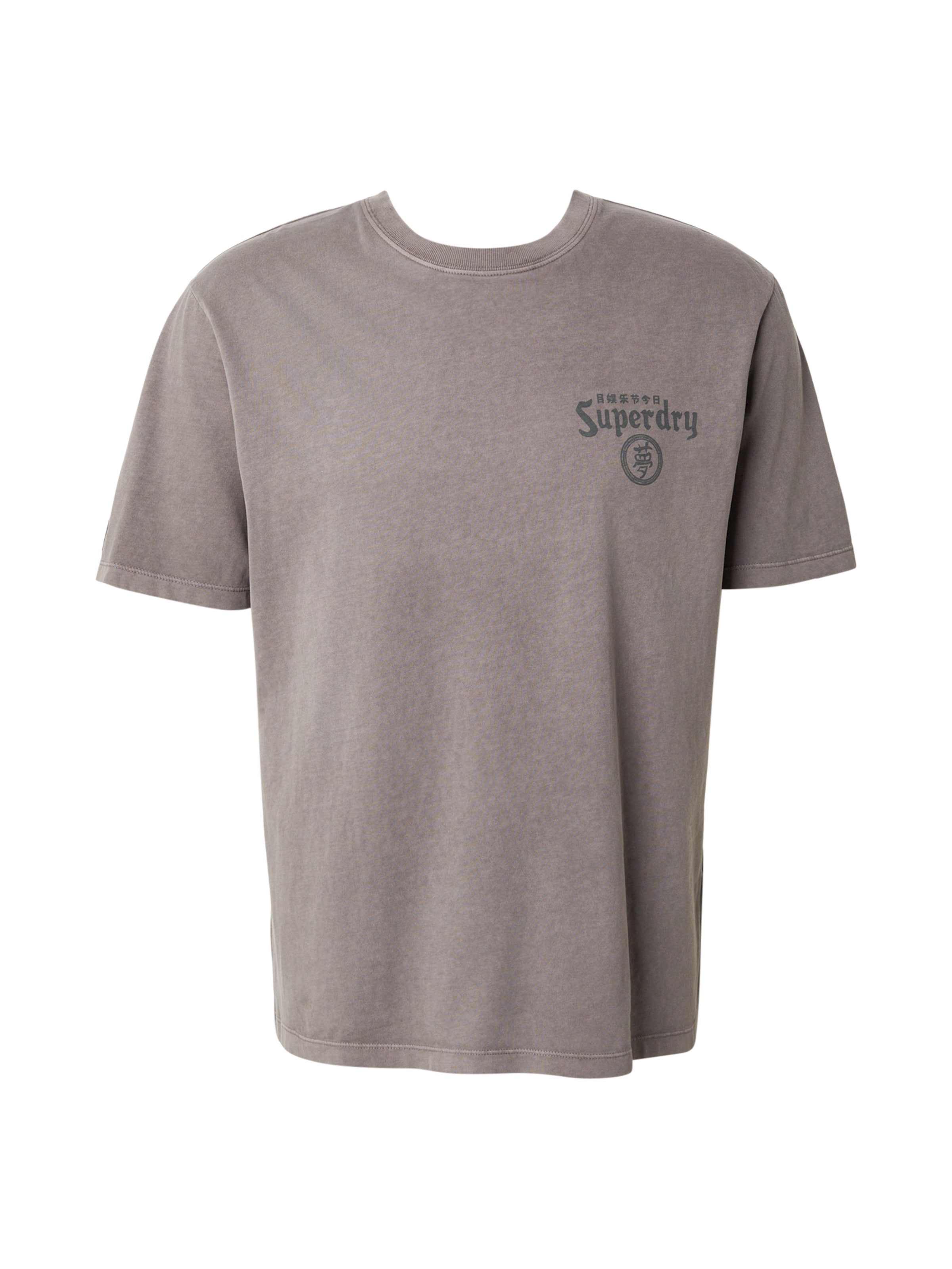 Superdry & Co Shirt 'TOKYO NARRATIVE' in Grey: front