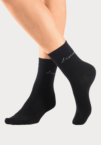 LASCANA Socks in Black