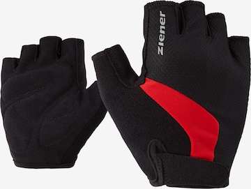 ZIENER Athletic Gloves 'CRIDO' in Mixed colors: front