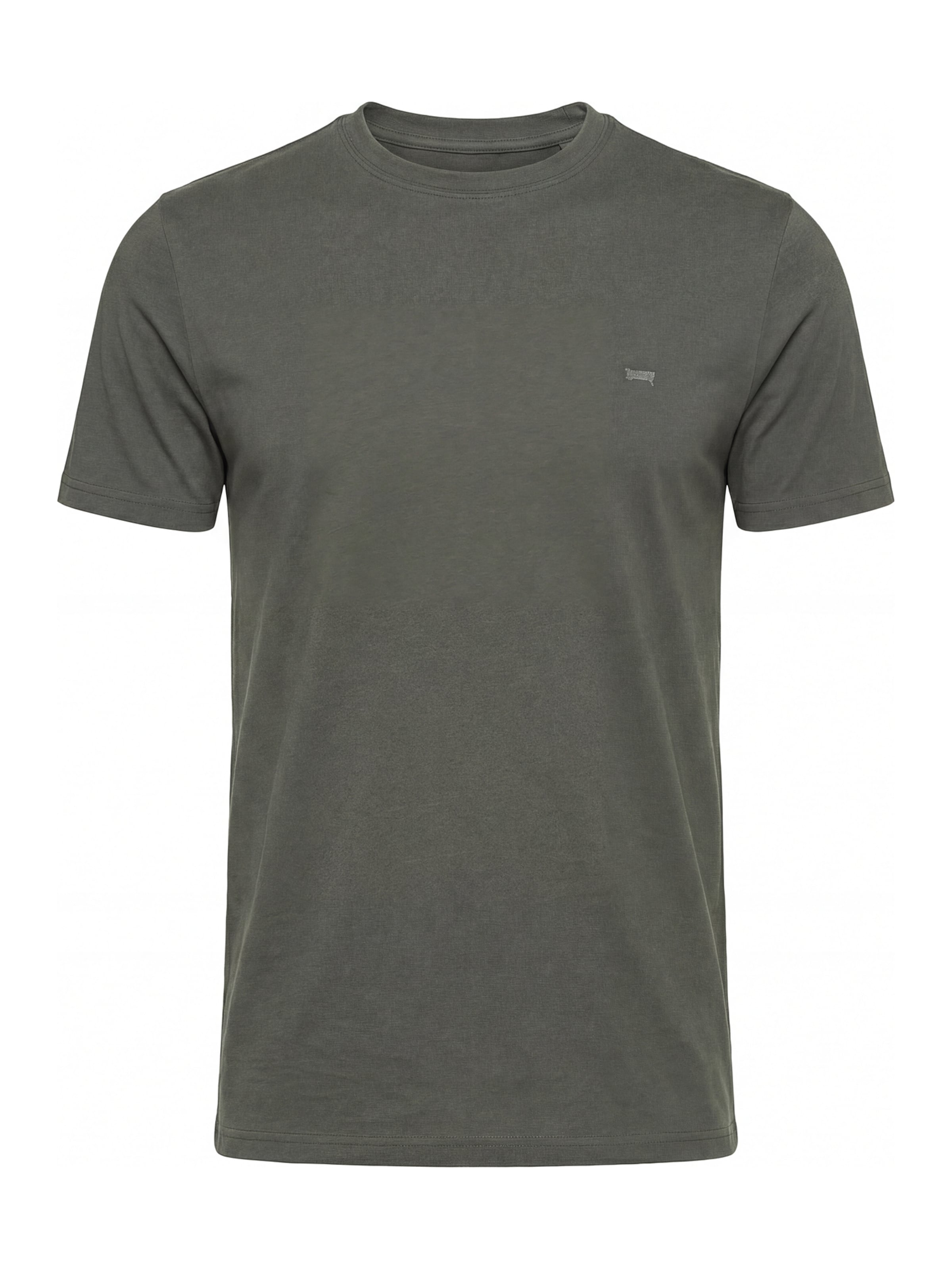 Carrera Jeans Shirt 'Basic' in Green: front