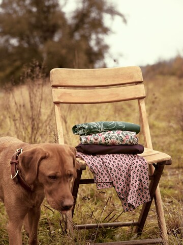 CALIDA Pajama Pants in Mixed colors