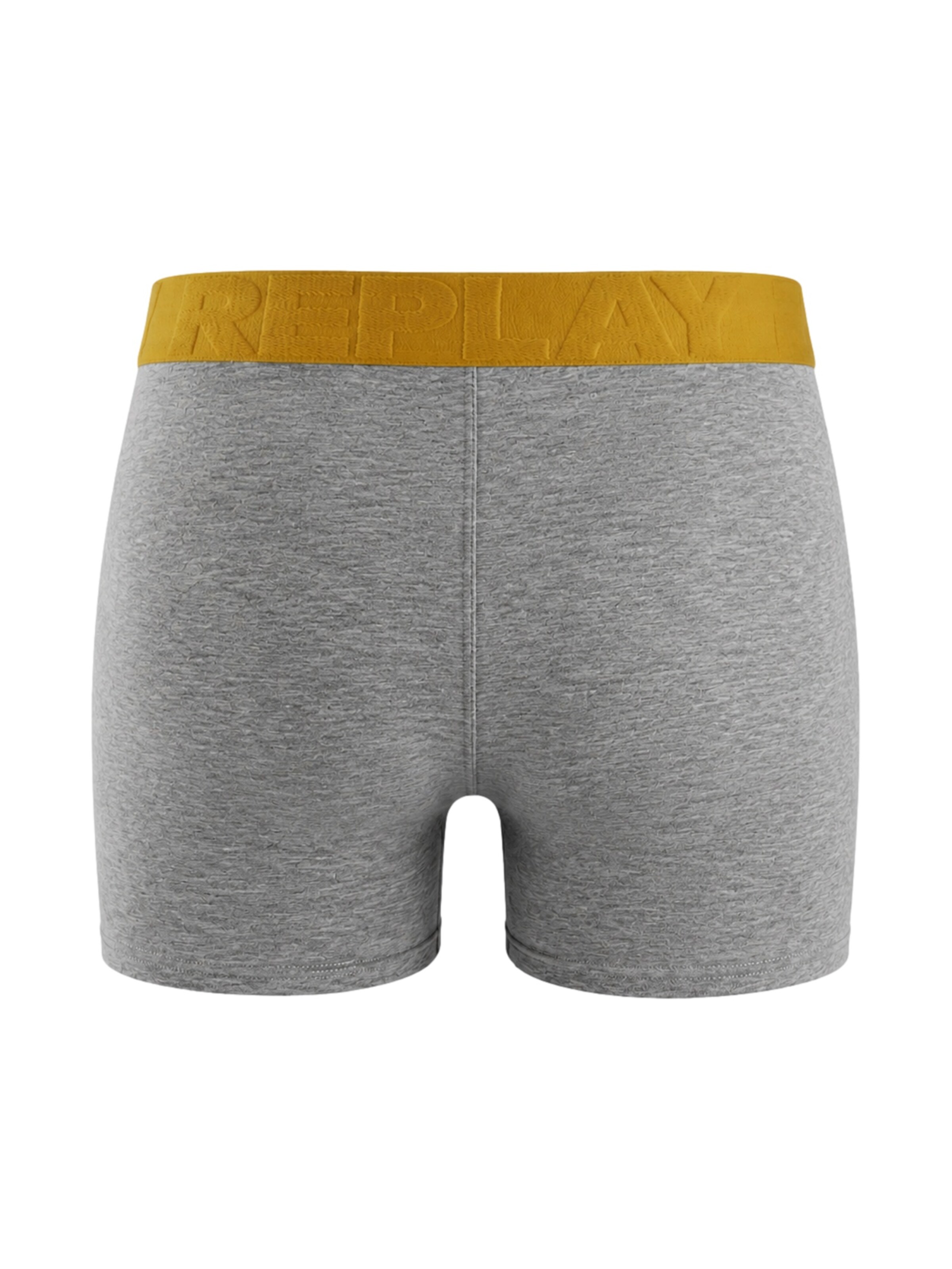 pilka REPLAY Boxer trumpikės
