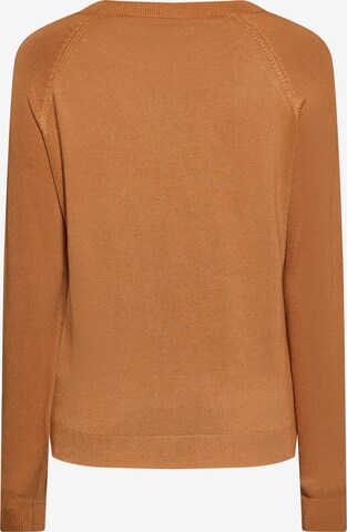 Pull-over usha BLACK LABEL en marron