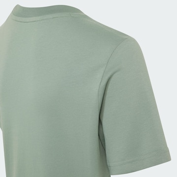 ADIDAS ORIGINALS T-Shirt 'Ess' in Grün
