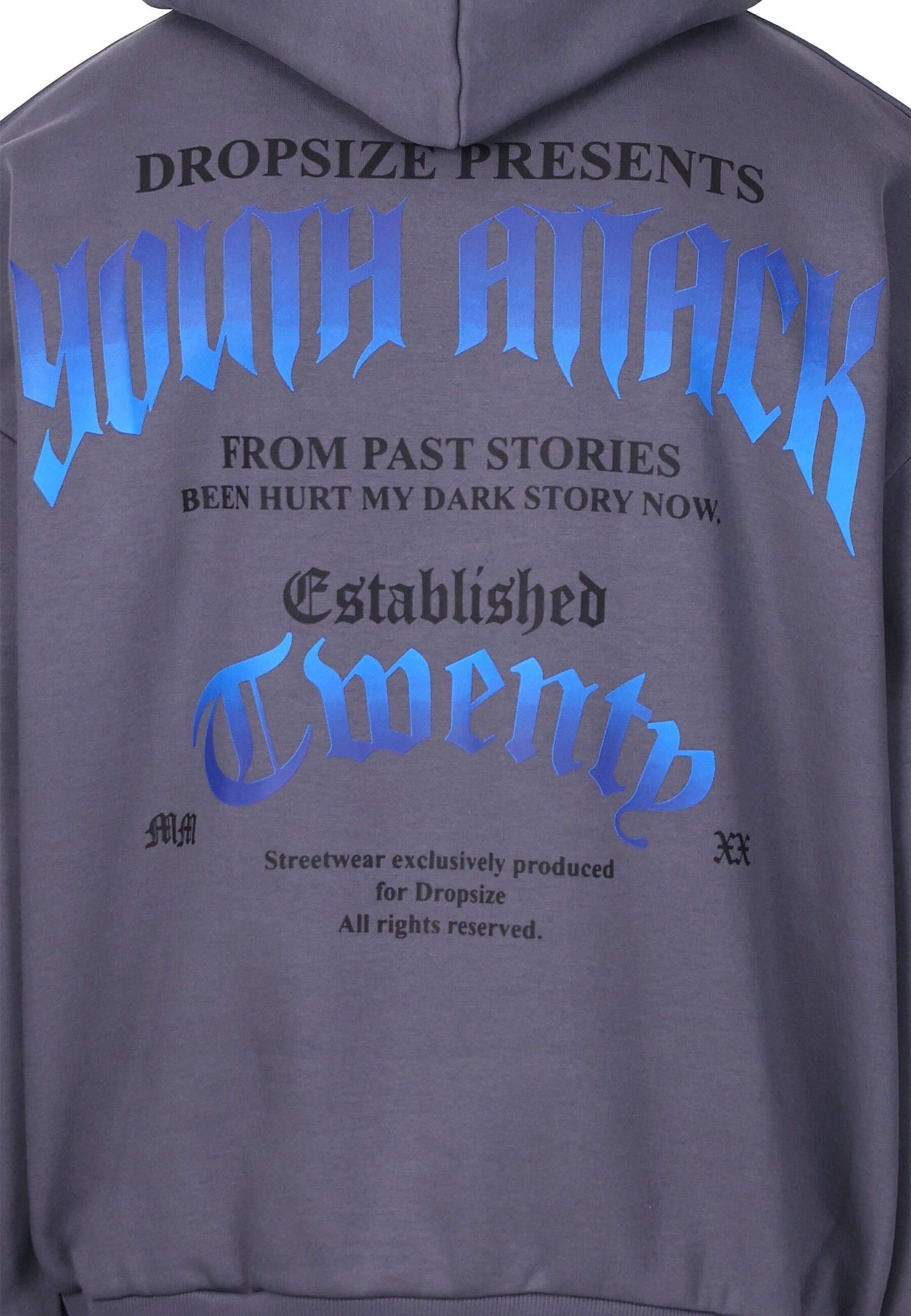 Dropsize Sweatshirt 'Youth Attack' in Grijs