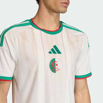 ADIDAS PERFORMANCE Tricot 'Algeria 26 Home Authentic' in Wit