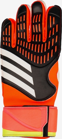 ADIDAS PERFORMANCE Athletic Gloves 'Predator Match' in Orange: front