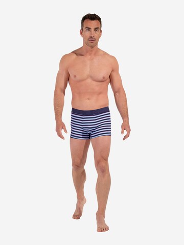 Boxers ' Atlantic ' HOM en bleu