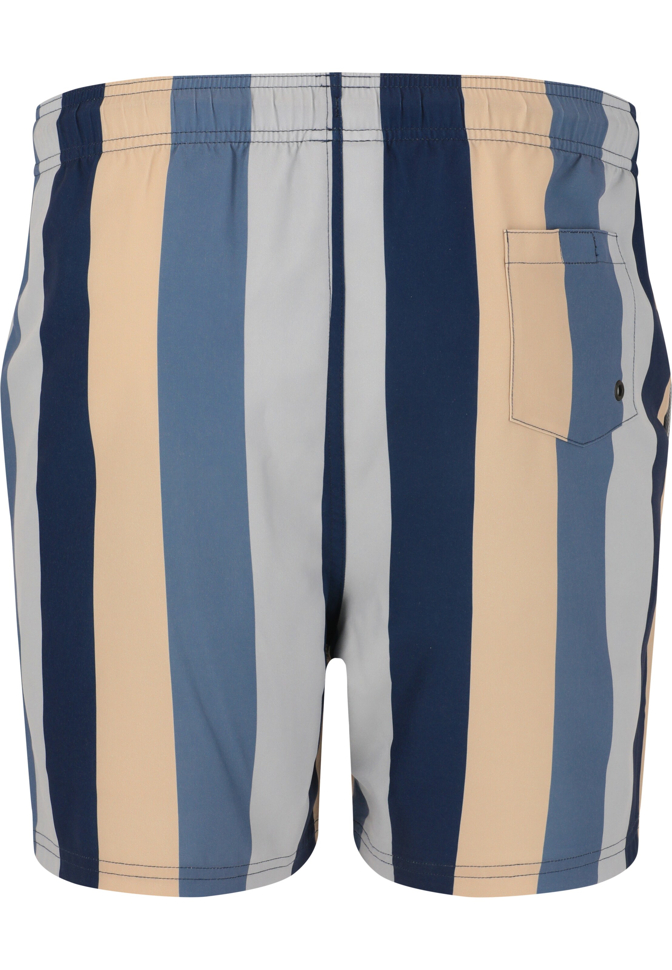 Cruz Zwemshorts 'Pieter' in Gemengde kleuren