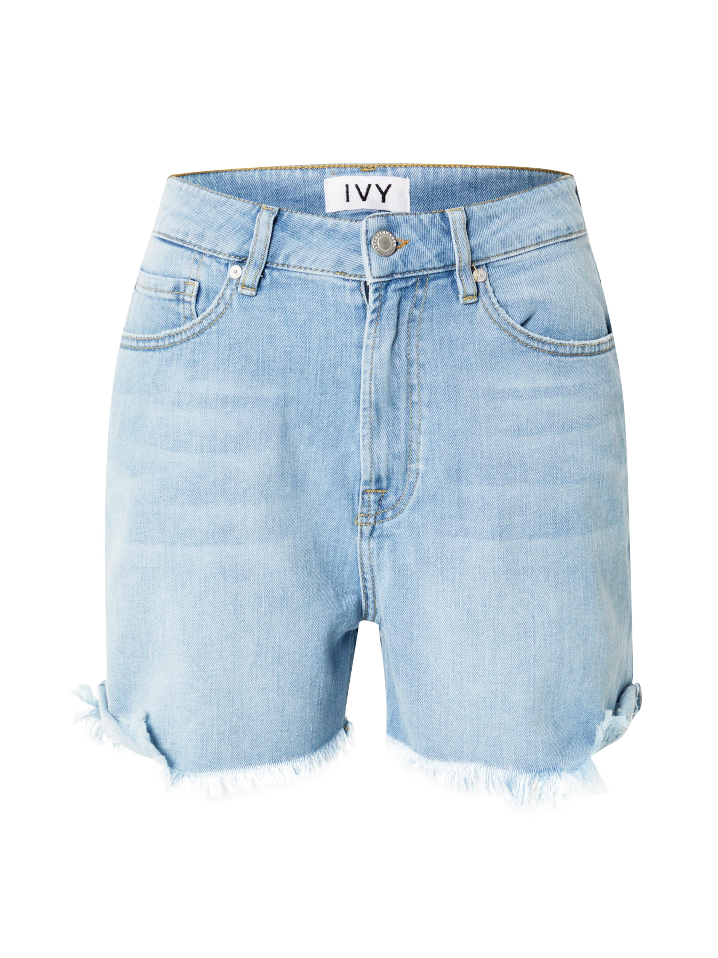 Ivy Copenhagen Regular Jeans 'Angie' in Blue: front