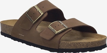 JOSEF SEIBEL Mule 'Josef 01' in Brown: front