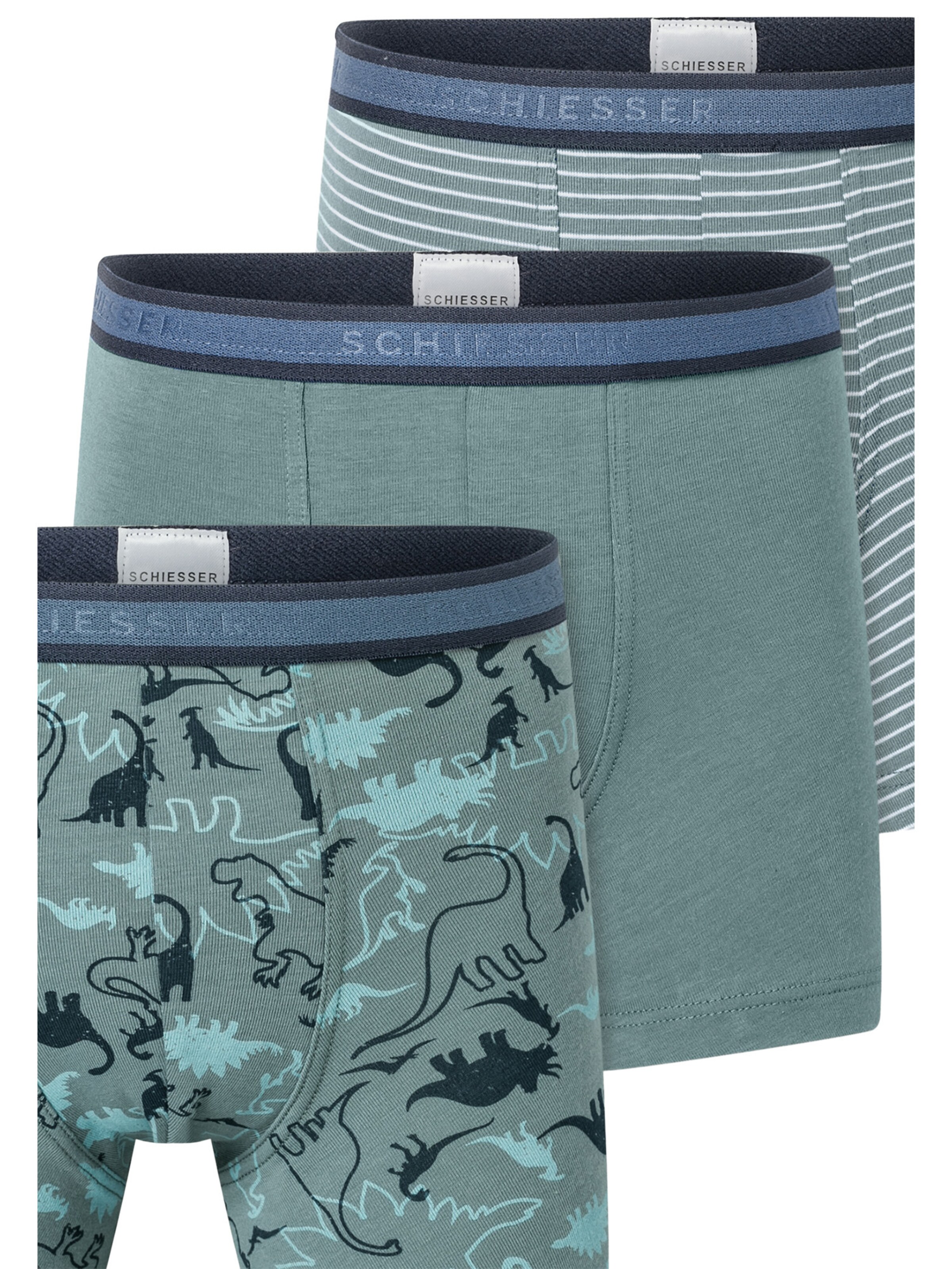 SCHIESSER Underpants in Green