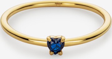 Paul Hewitt Ring in Gold: front