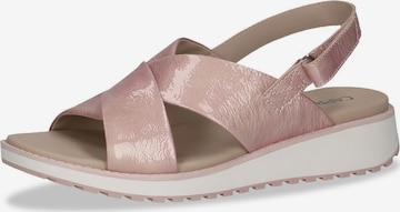 CAPRICE Sandals in Pink: front