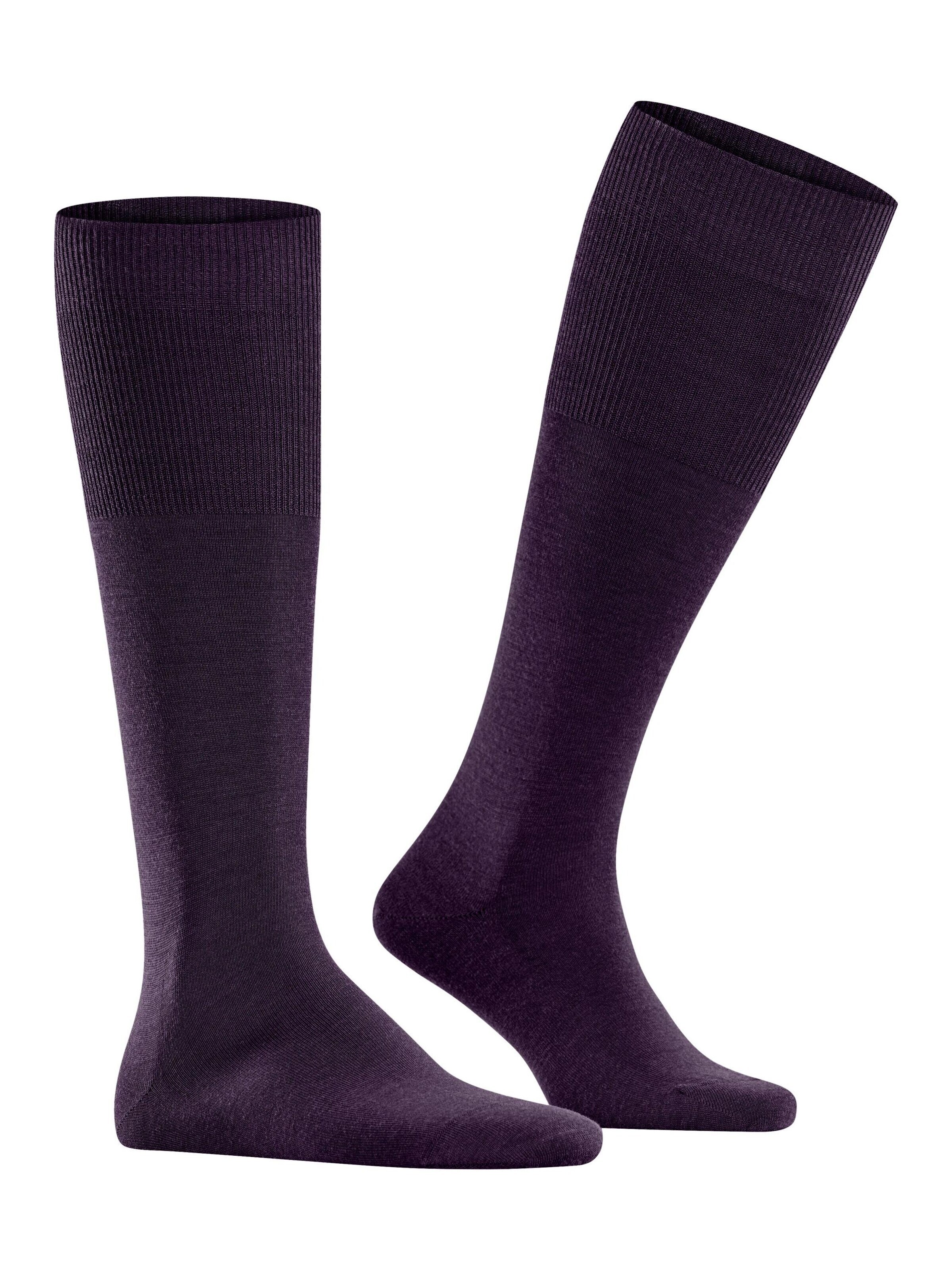 FALKE Knee High Socks 'Airport' in Purple