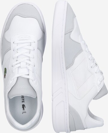 Sneaker bassa di LACOSTE in bianco