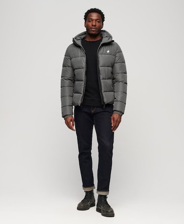 Veste d’hiver Superdry en gris