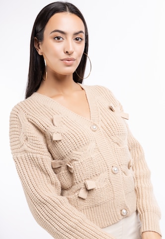 faina Gebreid vest in Beige: voorkant